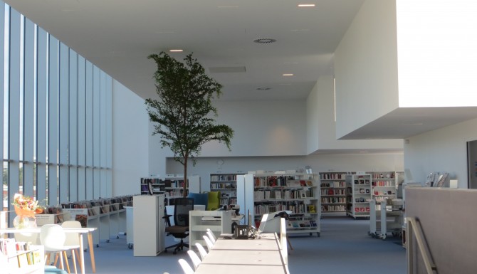Espace adulte de la bibliothèque