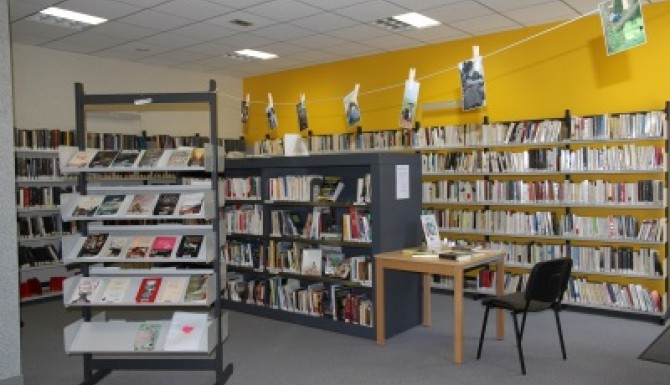 espace adultes avec des présentoirs de livres et de srayonnages