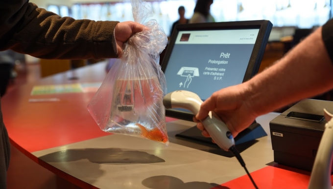 Emprunt à une banque de prêt d'un poisson rouge conditionnée dans un sac équipé d'un code-à-barres.