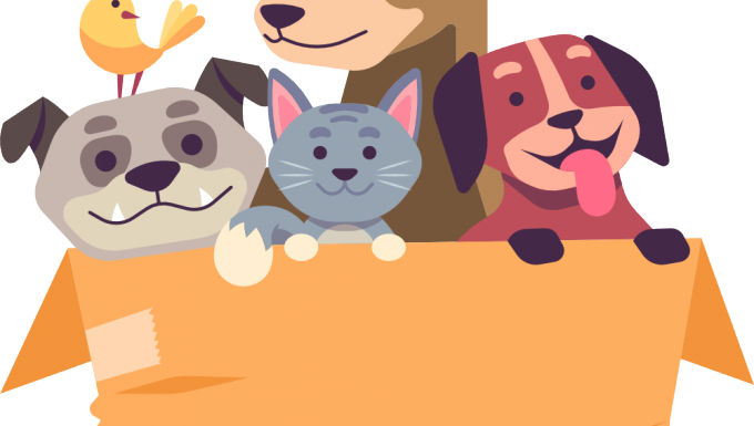 CC0 Freepik. Des animaux domestiques dans un carton.