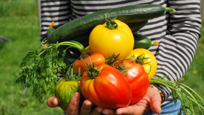 CC0 Pixabay. Un personne portant des légumes dans ses bras.