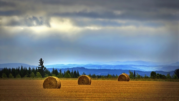 CC0 - Pixabay Vue d'un champs moissonné et bottelé