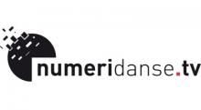 Logo Numeridanse : Lettres noires sur fond blanc