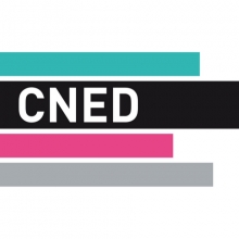 Logo CNED : 3 bandes de couleurs horizontales (verte, violette et grise). Une bande noire intègre les lettres de l'institution.