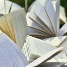 Livres ouverts dont les pages volent au vent