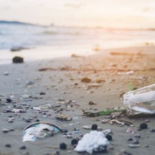 Photo de déchets sur une plage